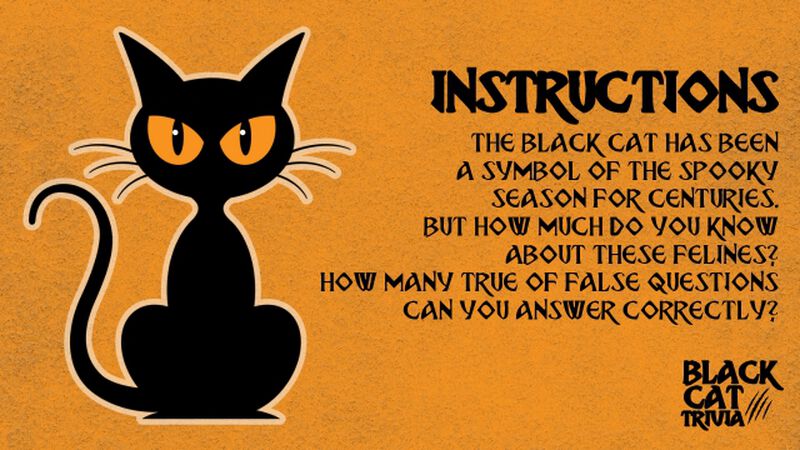 Black Cat Trivia